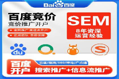某电商平台的SEM策略与效果展示